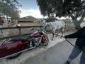 Harley-Davidson Road King Classic Custom Rojo - thumbnail 3