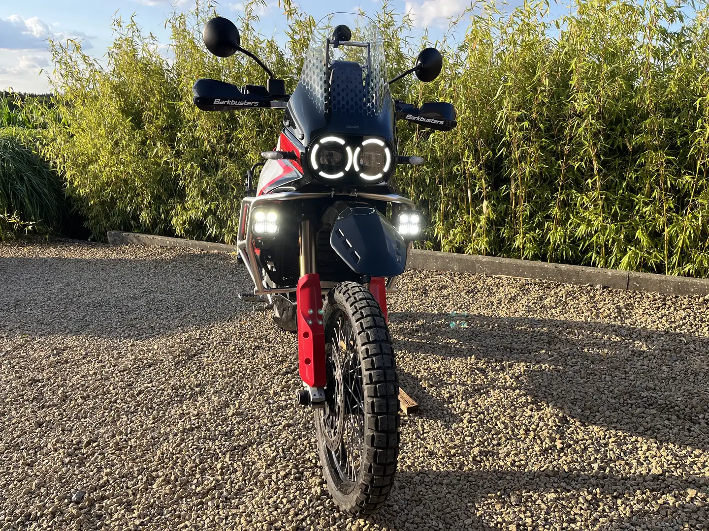 Ducati DesertX Rally 2024 Blanc - 1