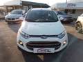 Ford EcoSport EcoSport 1.5 tdci Plus 95cv E6 Bianco - thumbnail 3