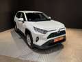 Toyota RAV 4 Rav4 Hybrid 220H Automático 4x4 Business Blanc - thumbnail 2
