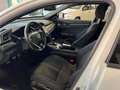 Honda Civic Civic X 2017 5p 5p 1.0 t Executive Sport Line my20 Bianco - thumbnail 7