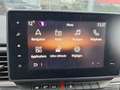 Nissan Primastar VAN MY24 L2H1 3t1 dCi 130 Euro6E M/T N-CONNECTA + Noir - thumbnail 21