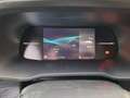 Nissan Primastar VAN MY24 L2H1 3t1 dCi 130 Euro6E M/T N-CONNECTA + Noir - thumbnail 19