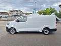 Fiat Scudo L3H1 145cv 12660kg FRigo Coibentazione Isotermica Weiß - thumbnail 4