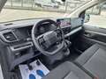 Fiat Scudo L3H1 145cv 12660kg FRigo Coibentazione Isotermica Weiß - thumbnail 10