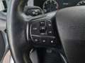 Ford Transit Pritsche DoKa 2,0 EcoBlue L3H1 350 Trend Weiß - thumbnail 14