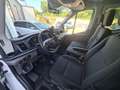 Ford Transit Pritsche DoKa 2,0 EcoBlue L3H1 350 Trend Weiß - thumbnail 11