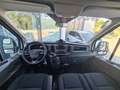 Ford Transit Pritsche DoKa 2,0 EcoBlue L3H1 350 Trend Weiß - thumbnail 12