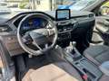 Ford Kuga Kuga 1.5 ecoblue ST-Line 2wd 120cv Grigio - thumbnail 9