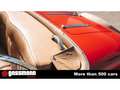 Mercedes-Benz Sonstige 290 Spezial Roadster Short Chassis W18 - Rot - thumbnail 23