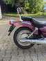 SYM Husky 125 Paars - thumbnail 7