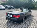 BMW 320 i cat Cabrio Futura Noir - thumbnail 7