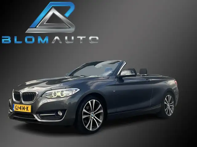 BMW 218 2-serie Cabrio 218i Sport SPORTSTOELEN+XENON NL AU
