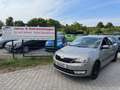 Skoda Rapid/Spaceback Spaceback Ambition Beige - thumbnail 1