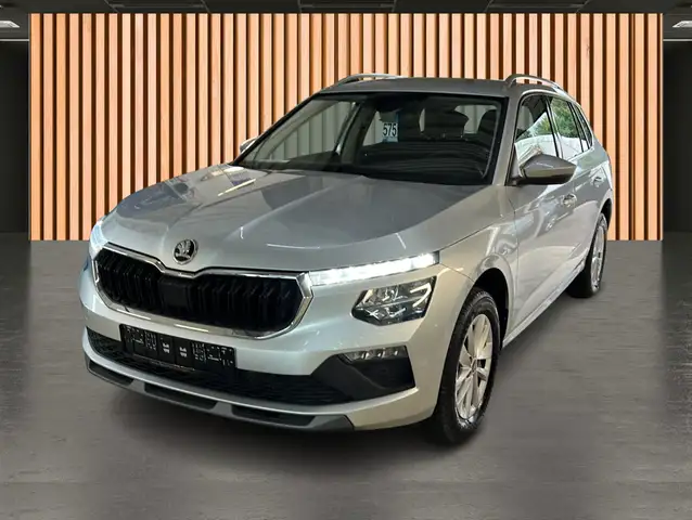 Skoda Kamiq view 2