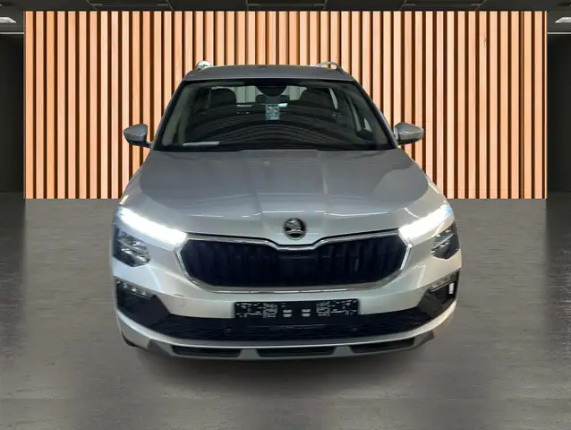 Skoda Kamiq view 18