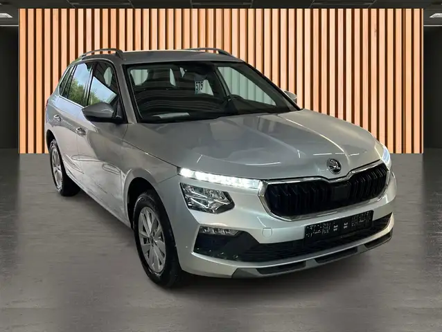 Skoda Kamiq view 19