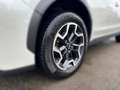 Subaru XV 2.0D Allrad Navi Leder Xenon Mehrzonenklima 2-Zone Bílá - thumbnail 13