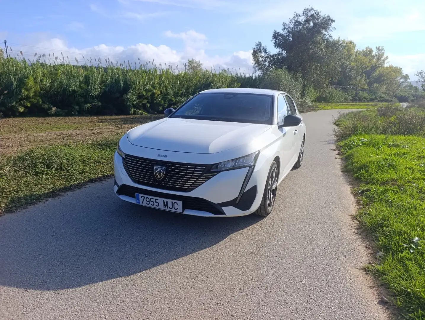 Peugeot 308 308 1.2 PureTech S Blanco - 2