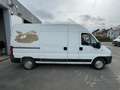 Peugeot Boxer 2.2 HDI+FOURGON+3PL+MARCHAND/EXPORT Weiß - thumbnail 5