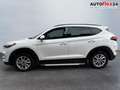 Hyundai TUCSON 1.6 177 2WD 2ZKli Panor Kam SHZ 130 kW (177 PS)... Weiß - thumbnail 5