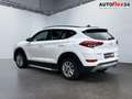 Hyundai TUCSON 1.6 177 2WD 2ZKli Panor Kam SHZ 130 kW (177 PS)... Weiß - thumbnail 4