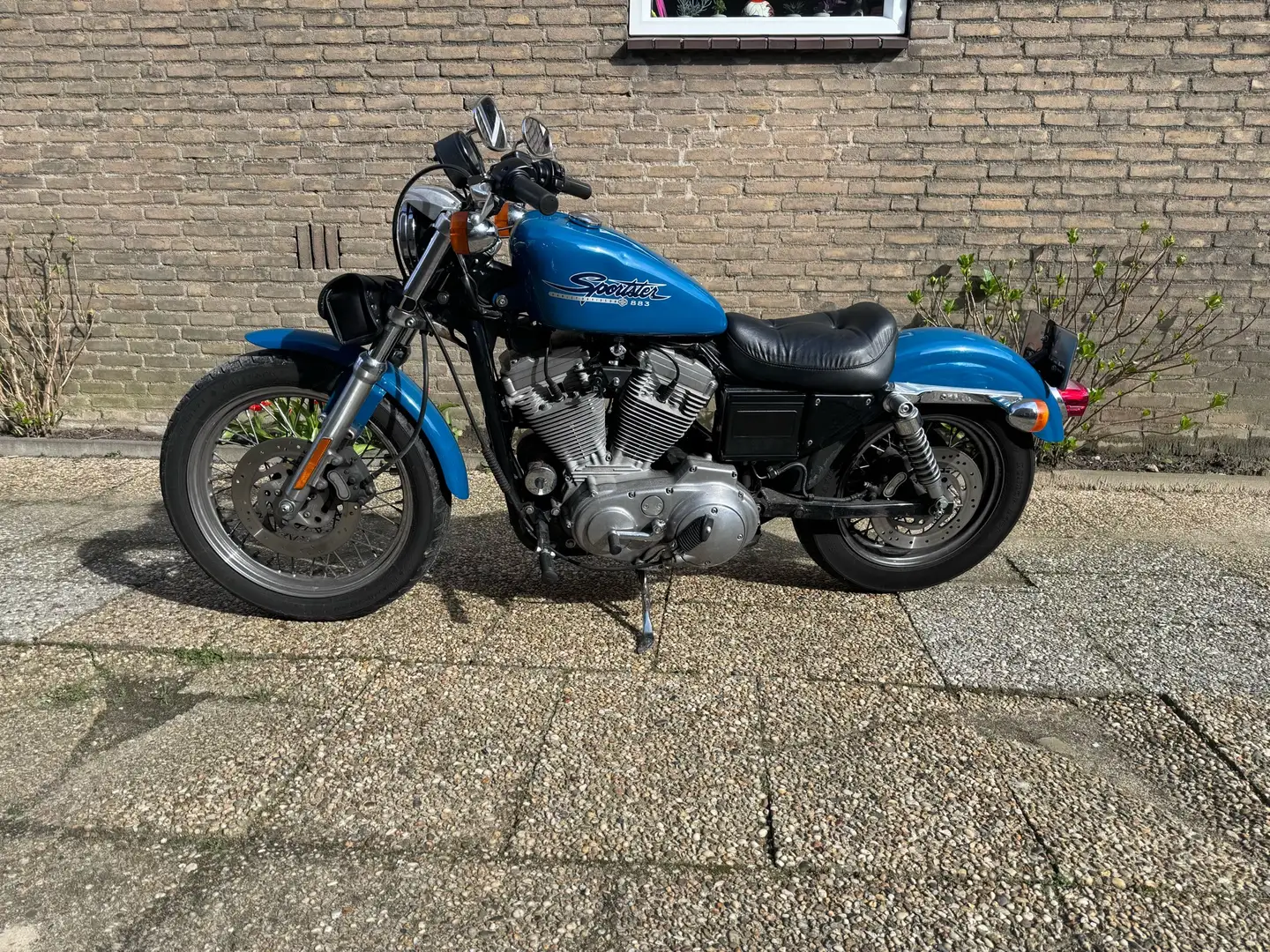 Harley-Davidson Sportster 883 Albastru - 1