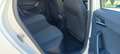 SEAT Arona 1.0 TSI Ecomotive S&S Xcellence 110 Blanco - thumbnail 5