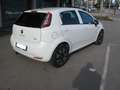 Fiat Punto Punto 5p 1.3 mjt II 16v Lounge 75cv E5+ Bianco - thumbnail 5