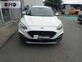 Ford Focus 1.0 Flexifuel 125ch mHEV Blanco - thumbnail 3