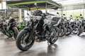 Kawasaki Z 650 ABS, 2026, sofort lieferbar, Lieferservice Blanc - thumbnail 17