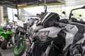 Kawasaki Z 650 ABS, 2026, sofort lieferbar, Lieferservice Blanc - thumbnail 18