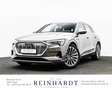 Audi e-tron 55 ADVANCED LED/AIR-SUS/KEYLESS/SIDE/360° Gris - thumbnail 5
