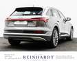 Audi e-tron 55 ADVANCED LED/AIR-SUS/KEYLESS/SIDE/360° Gris - thumbnail 10