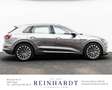 Audi e-tron 55 ADVANCED LED/AIR-SUS/KEYLESS/SIDE/360° Gris - thumbnail 9
