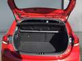Kia Rio 1,25 MPI Silber ISG 8-fach bereift!  wenig KM ! Rot - thumbnail 19