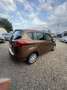 Ford B-Max 1.0 EcoBoost Trend-1 VORBESITZER INSPEKTION NEU Braun - thumbnail 4