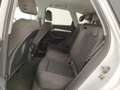 Audi Q5 50 tdi Business Sport quattro 286cv tiptronic Alb - thumbnail 13