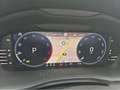 Skoda Scala 1.5TSI DSG Drive Grau - thumbnail 12