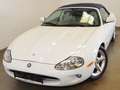 Jaguar XK8 CabrioletExclusive *Weiss Ivory* Blanc - thumbnail 20