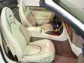Jaguar XK8 CabrioletExclusive *Weiss Ivory* Blanc - thumbnail 10