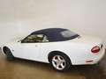 Jaguar XK8 CabrioletExclusive *Weiss Ivory* Blanc - thumbnail 3