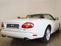 Jaguar XK8 CabrioletExclusive *Weiss Ivory* Blanc - thumbnail 8
