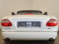 Jaguar XK8 CabrioletExclusive *Weiss Ivory* Blanc - thumbnail 7
