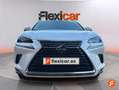 Lexus NX 300 300h Business 2WD Blanco - thumbnail 2