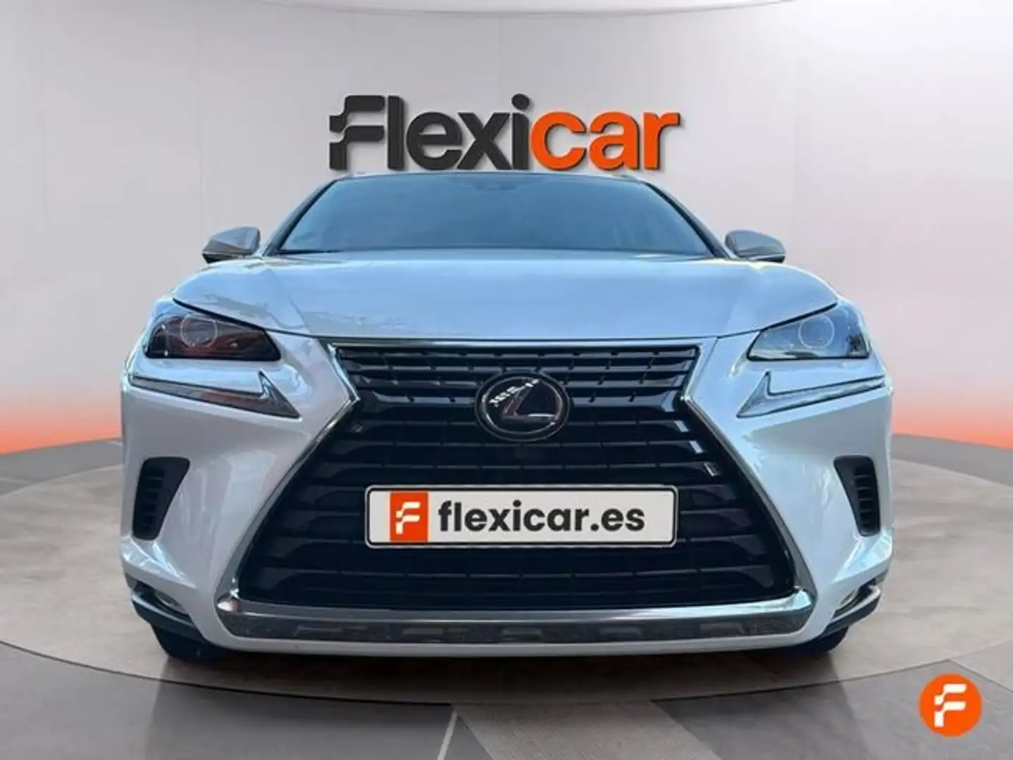 Lexus NX 300 300h Business 2WD Blanco - 2