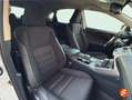 Lexus NX 300 300h Business 2WD Blanco - thumbnail 10