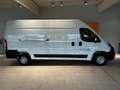 Opel Movano 2.2 D L3H2 2WD VA Edition - AHK - PDC - Klima Bianco - thumbnail 4