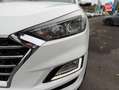 Hyundai TUCSON 1.6 CRDI 136ch hybrid 48V Creative DCT-7 Euro6d-Evap Blanc - thumbnail 13