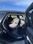 Audi A6 Avant 40 TDI sport S-tronic/Virtual Cockpit/AHK Schwarz - thumbnail 17